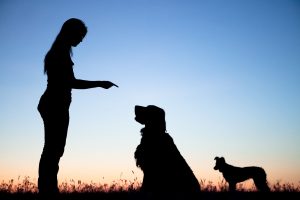 Woman Telling Dog To Stay