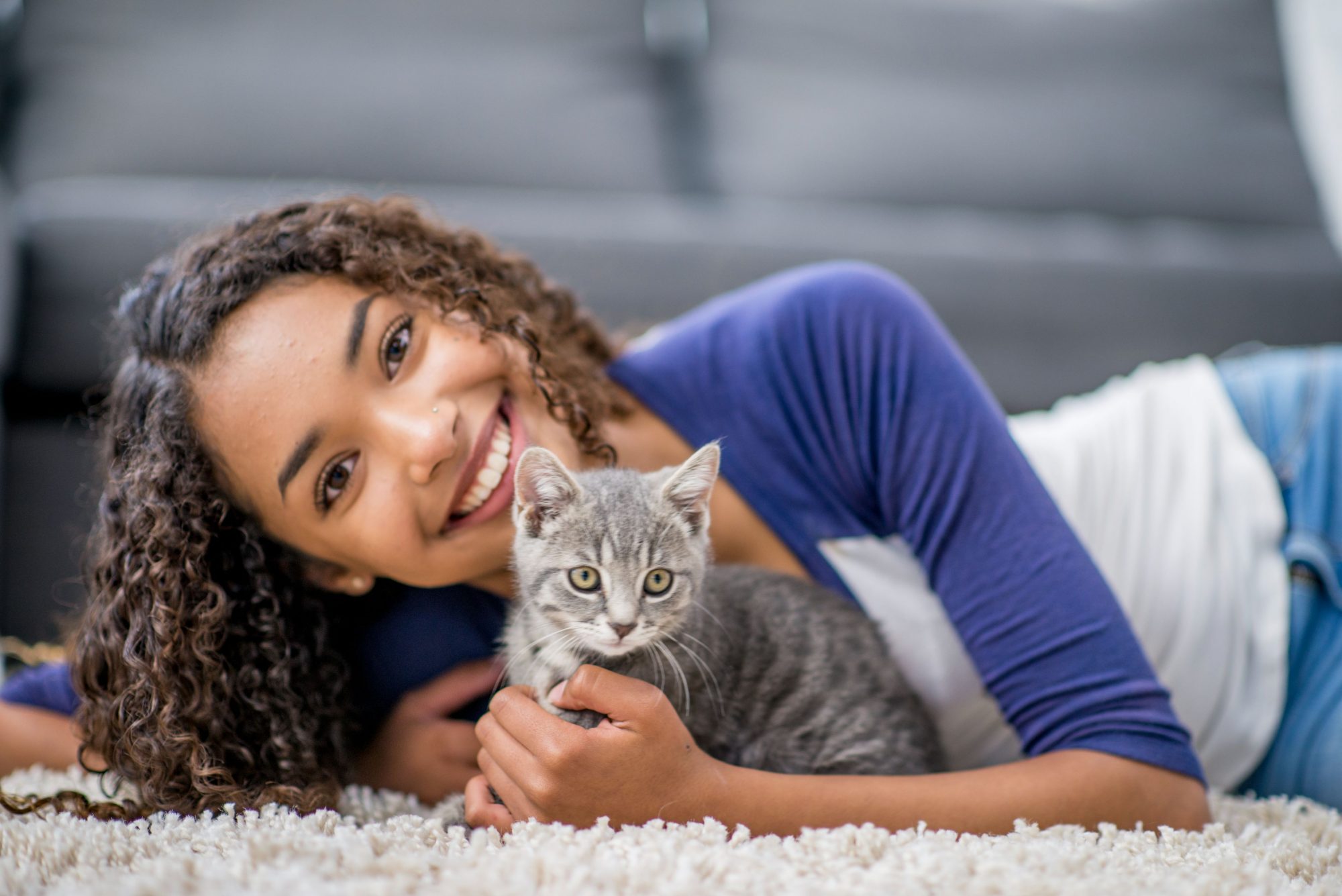 Adopting a Cat in San Antonio? Where to Look and What to Prepare For